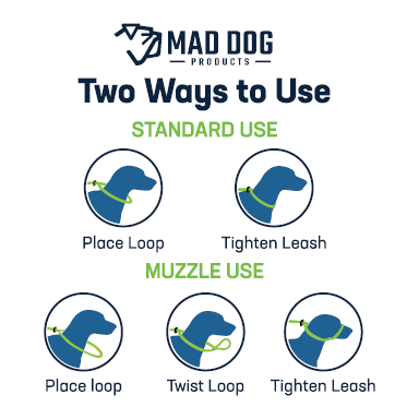 BRING YA *ANT*SS Logo'd Dog Leash - by Mad Dog Products