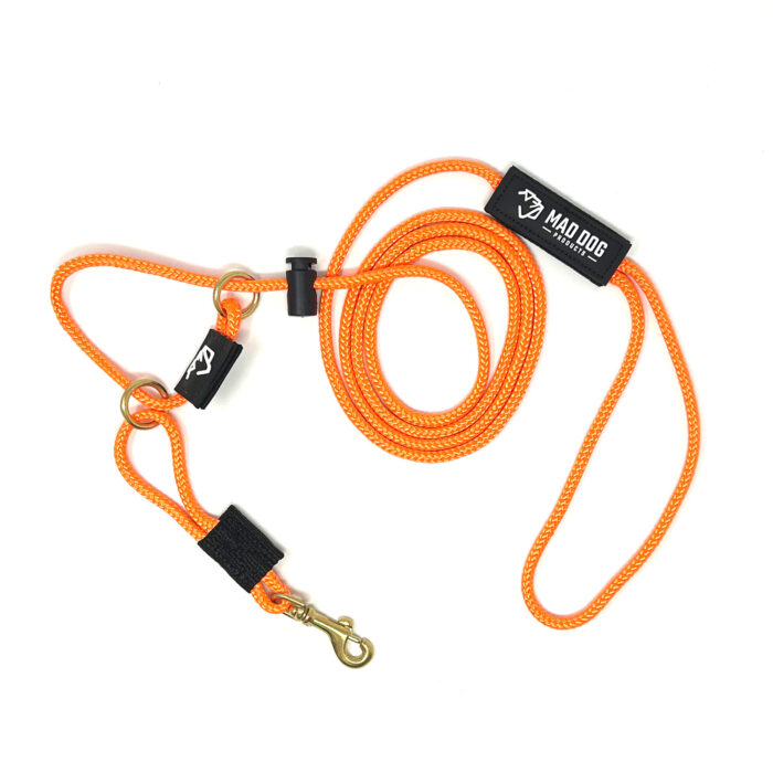 English Slip Leash / Safety Strap Combo Leash – Double Braid