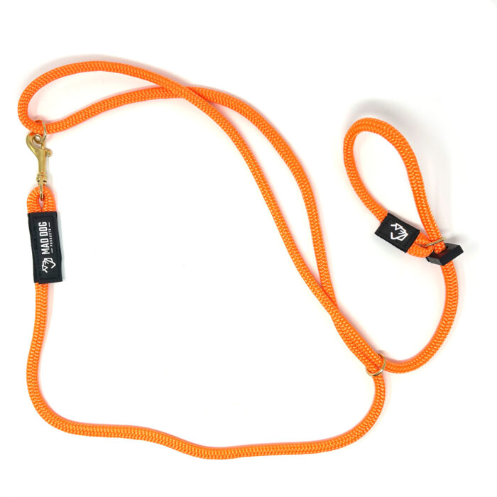 Hands Free Slip Leash – Double Braid