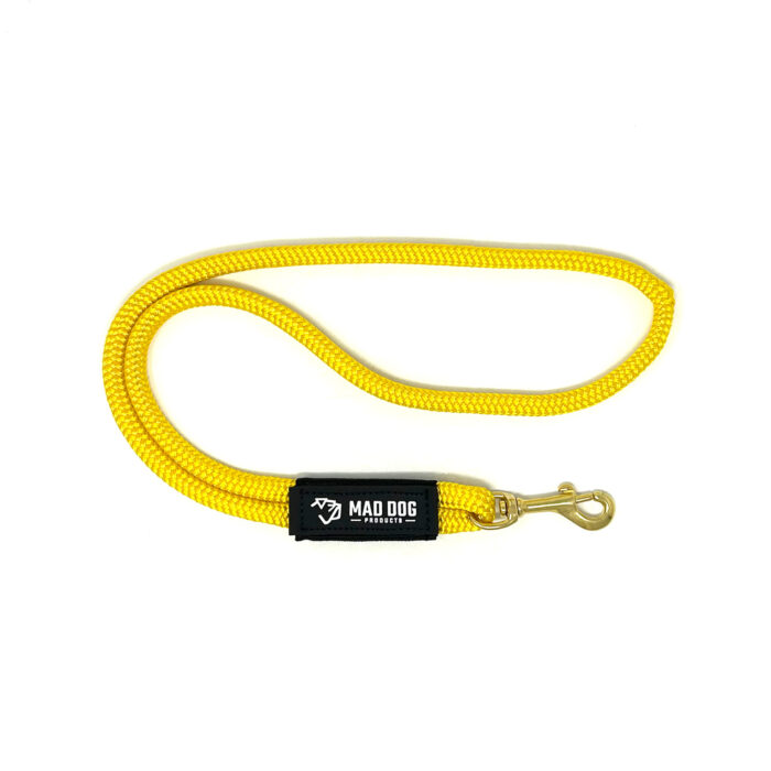 Heeling Leash – Double Braid