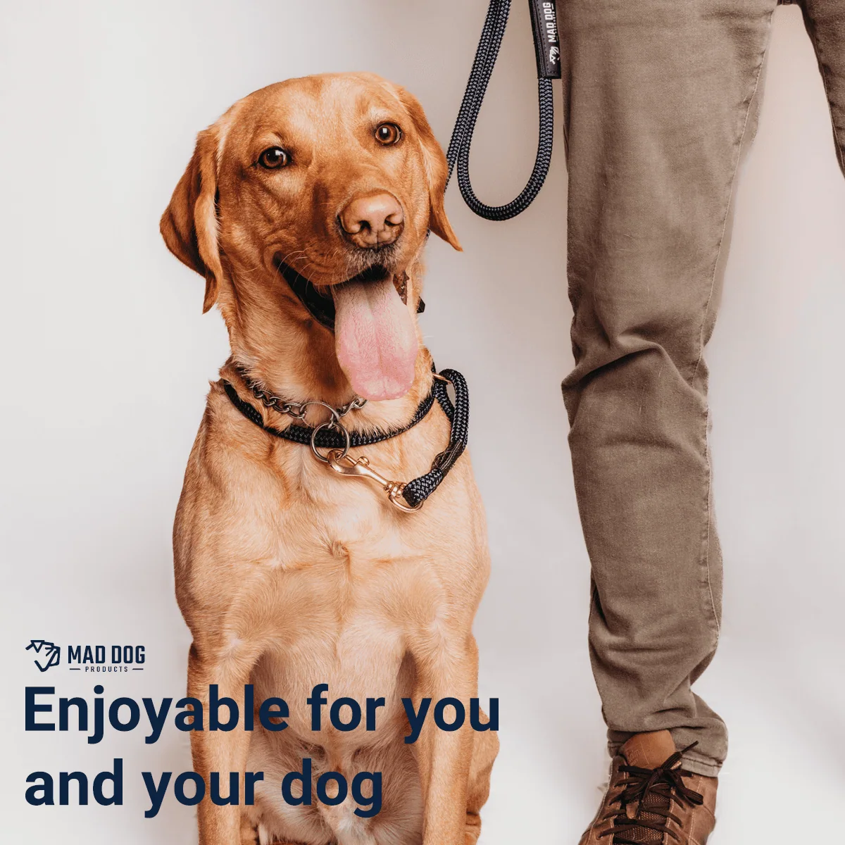 A happy yellow Labrador Retriever sitting next to its owner.