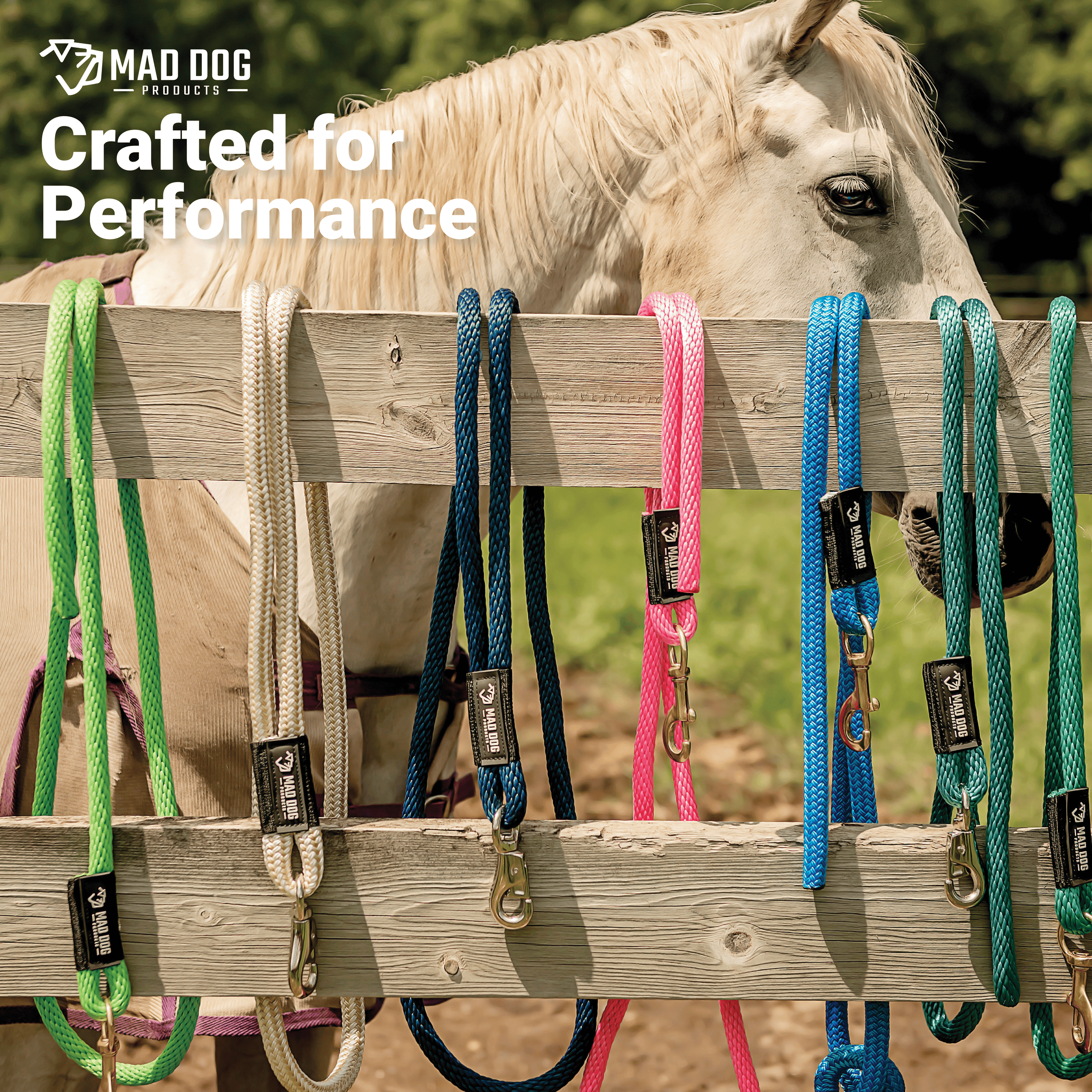 Colorful horse leads hanging on a wooden fence near horse.