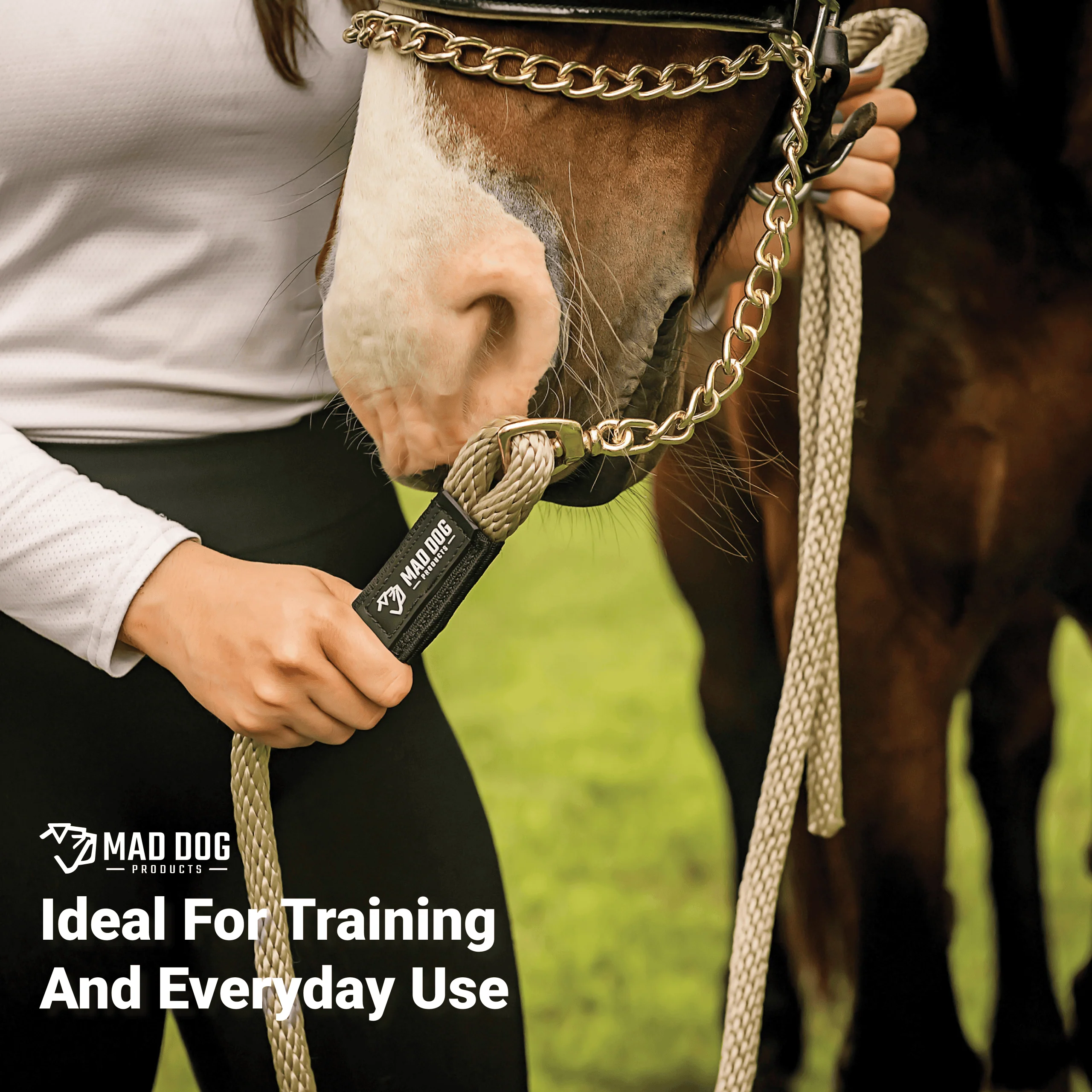 Mad Dog horse lead rope with gold chain attachment.