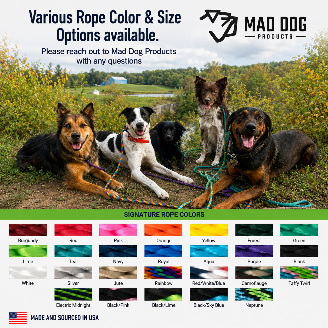 SB Leash Colors Amazon Graphic